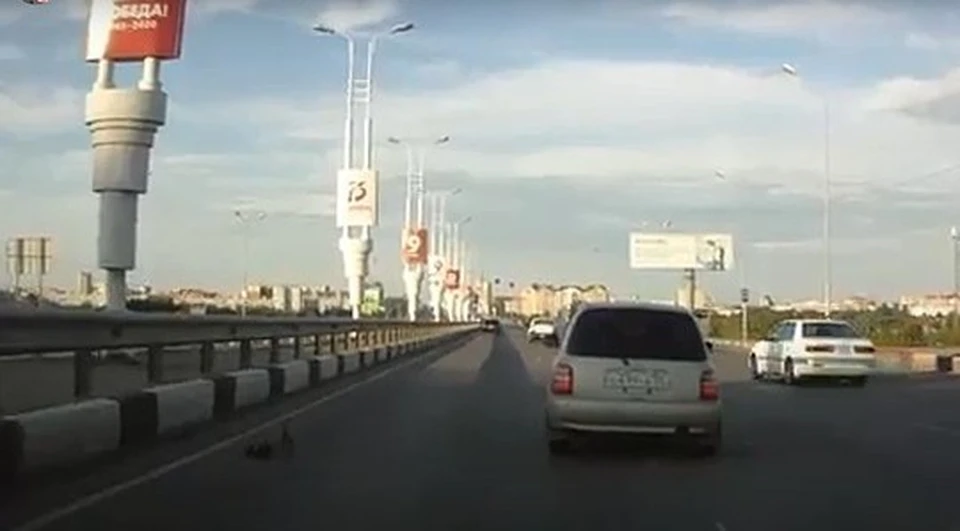 Фото: скриншот видео (YouTube)
