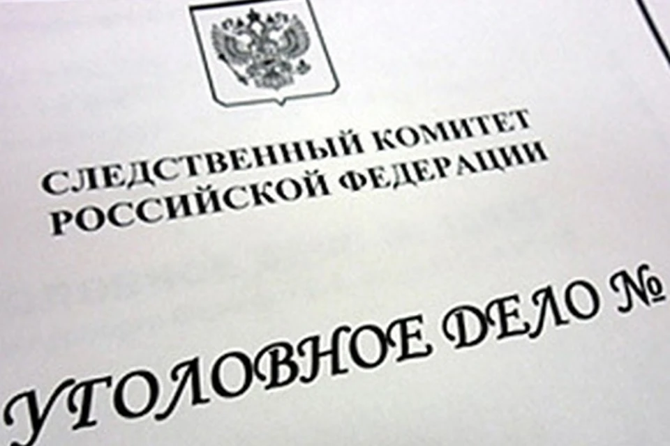 Нелегалу грозит колония