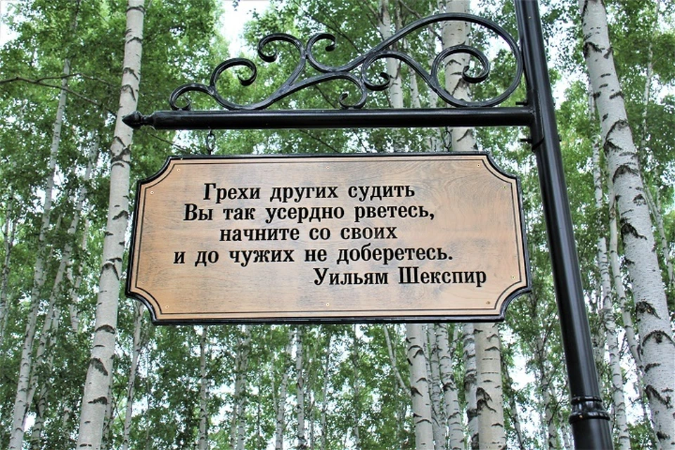 Саган дайля (дали): полезные свойства чая и противопоказания