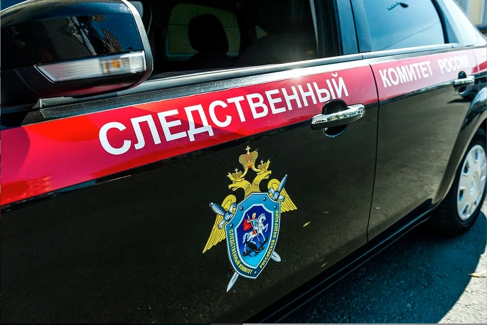 Следком возбудил дело на каменских ПДН-щиков