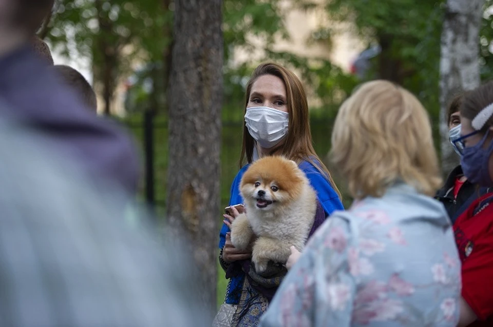Всего в регионе официально зарегистрировано 15 343 зараженных