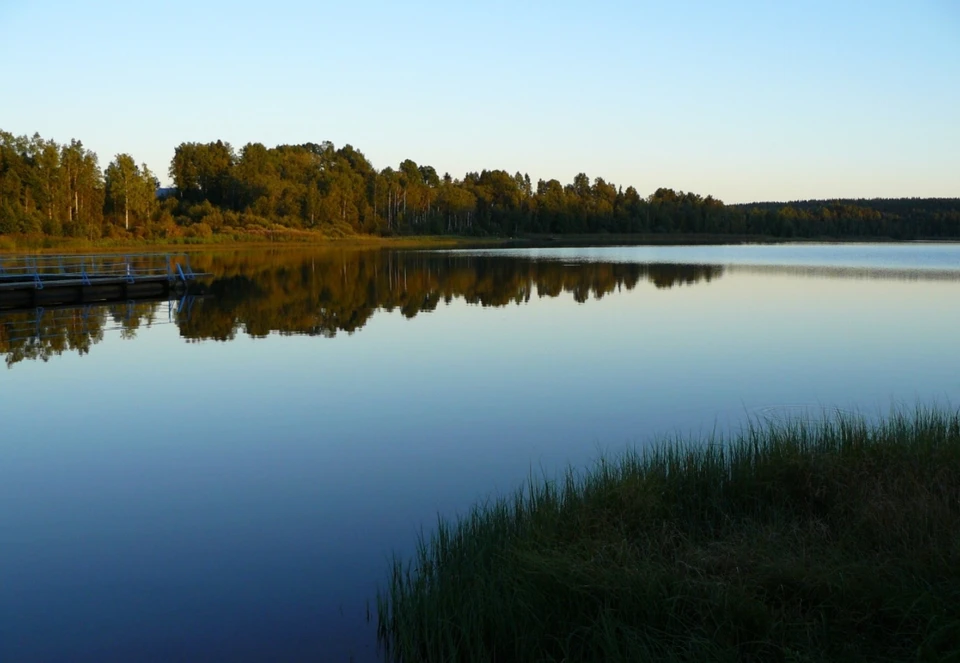 «Ростелеком» окутал сетью Карельский перешеек. Фото: Ростелеком.