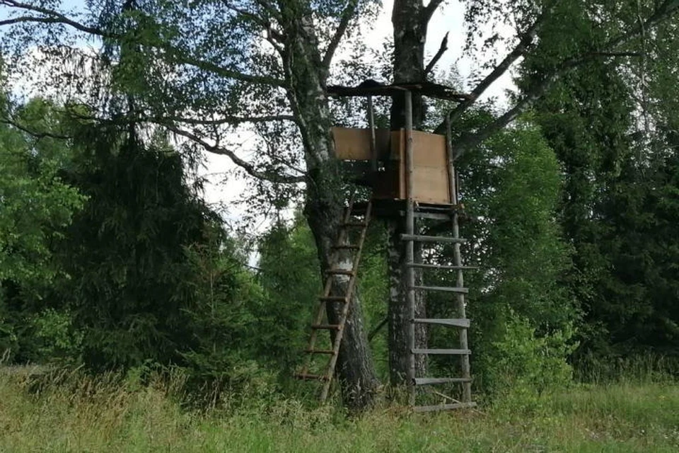 Для пернатых оборудуют галечники и порхалища
