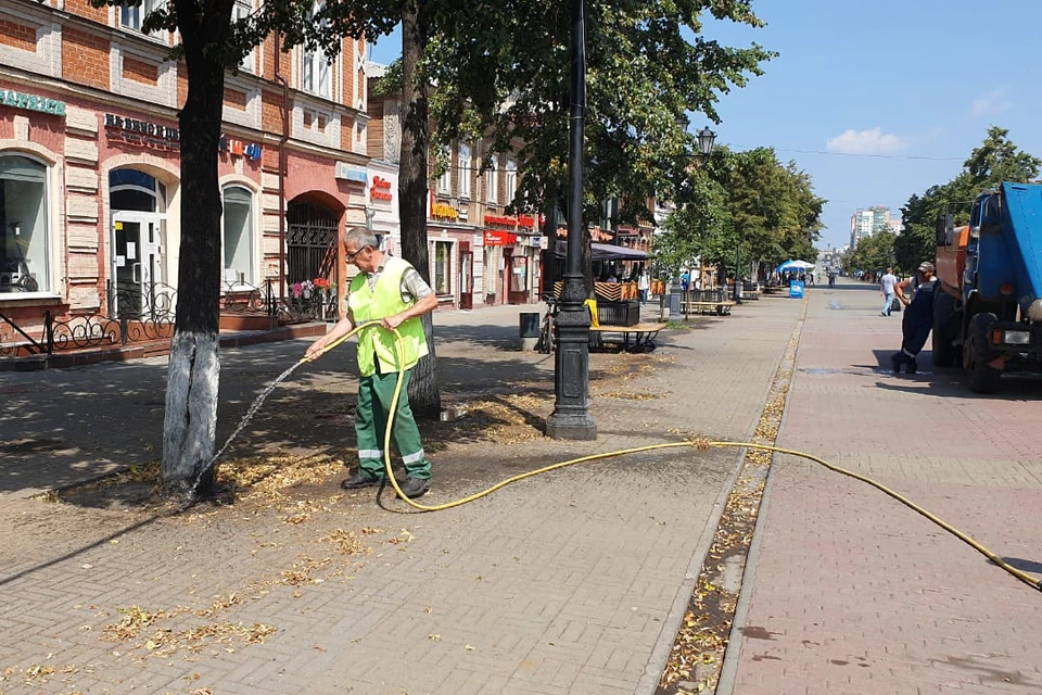 На Кировке 227 деревьев. Особое внимание уделяют новым растениям в вазонах. Фото: Игорь Клеин