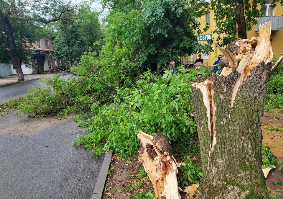 Дерево упало на частный дом. Деревья Калуга. Дерево упало на забор.