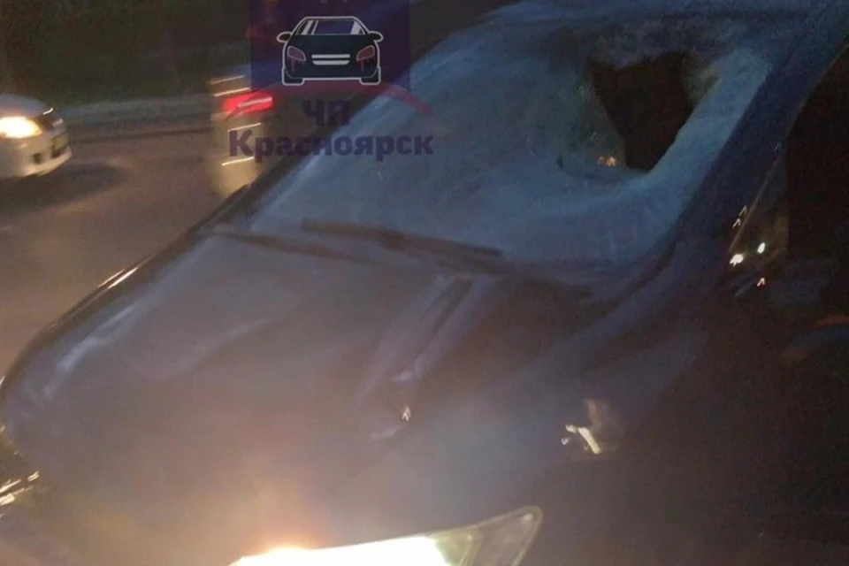 От сильного удара разбилось лобовое стекло Фото: ЧП-Красноярск