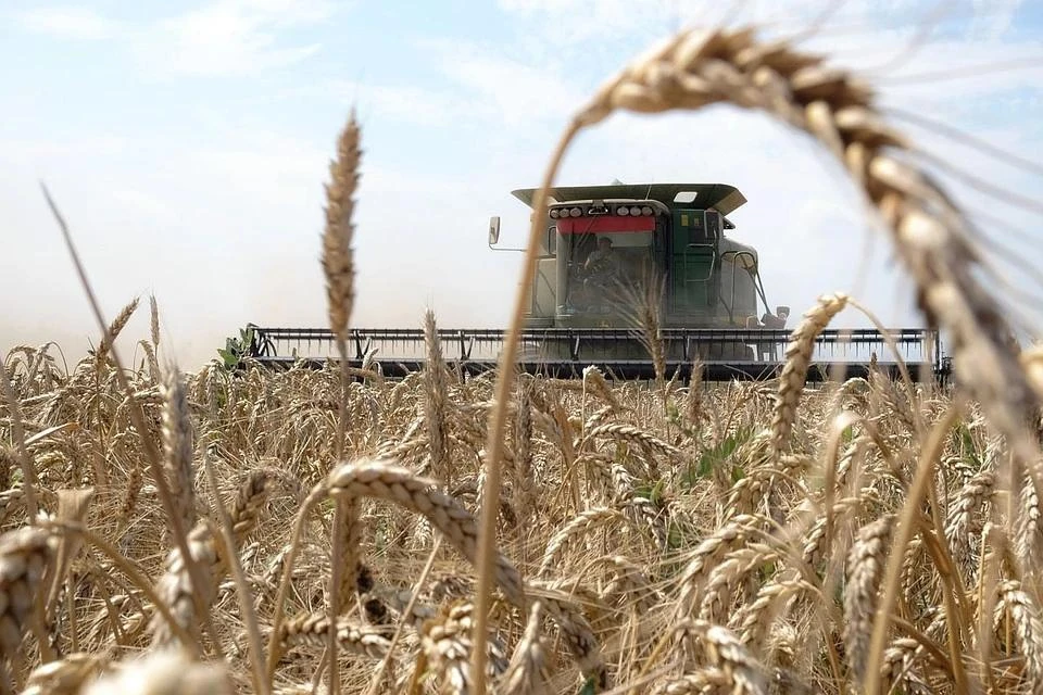 National Interest назвал запрет на вывоз зерна из России "политическим оружием"