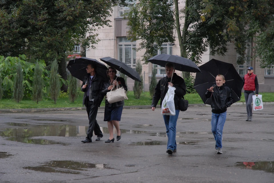 Фото: Алексей ФОКИН