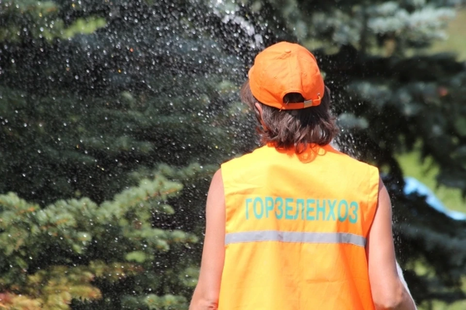 Высадку деревьев и кустарников обеспечат сотрудники МБУ «Горзеленхоз».