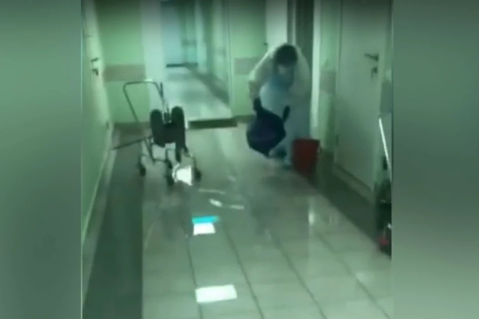 Фото: кадр с видео naurfo/youtube.com
