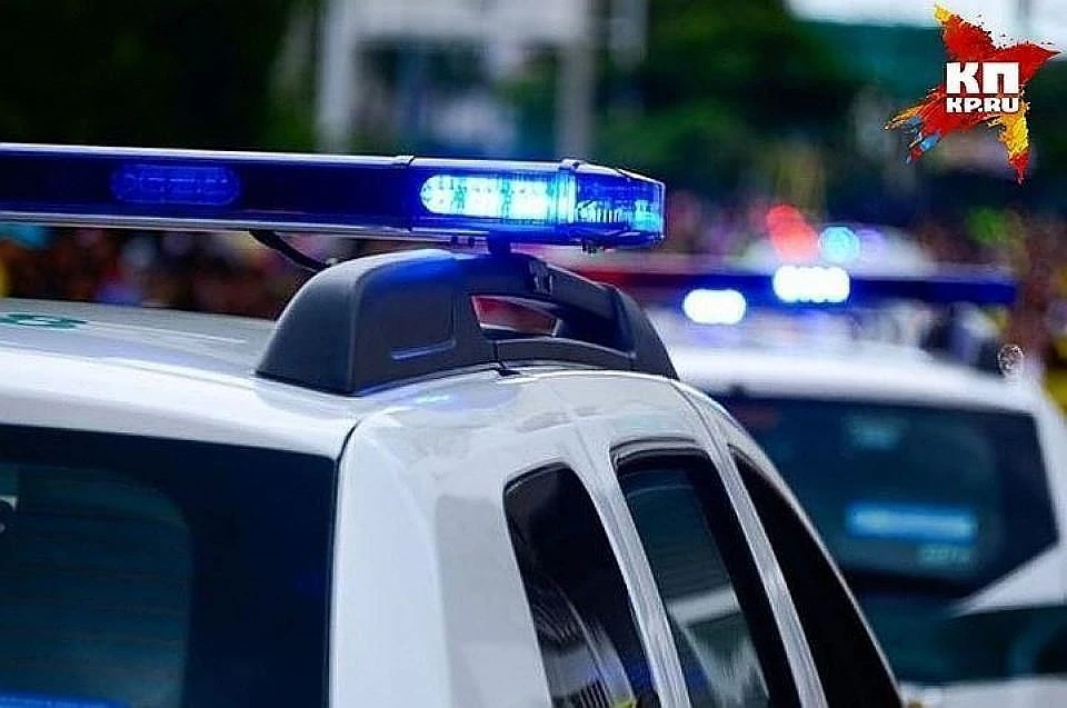 Полицейские задержали подозреваемого Фото: архив "КП"