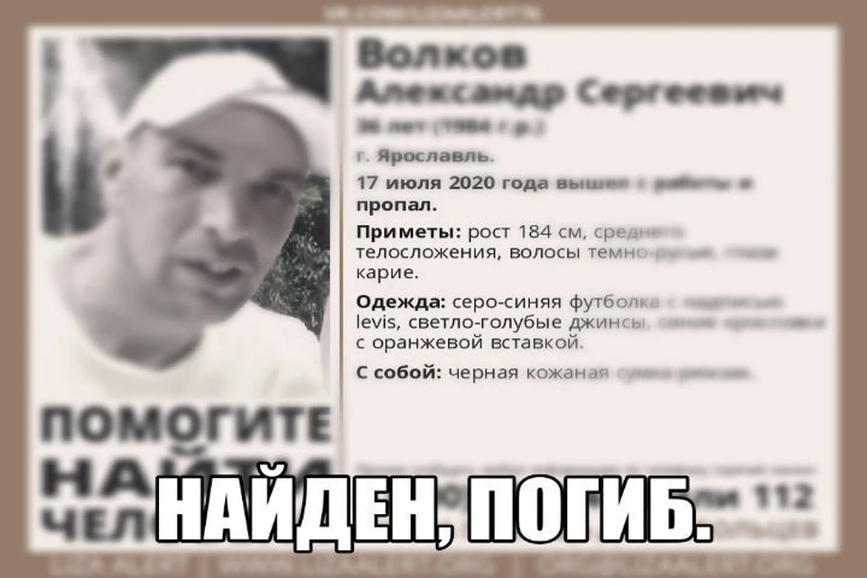 Тело обнаружили в лесополосе в Заволжском районе. ФОТО: группа «Поисковый отряд «Лиза Алерт» Ярославской области» «ВКонтакте»