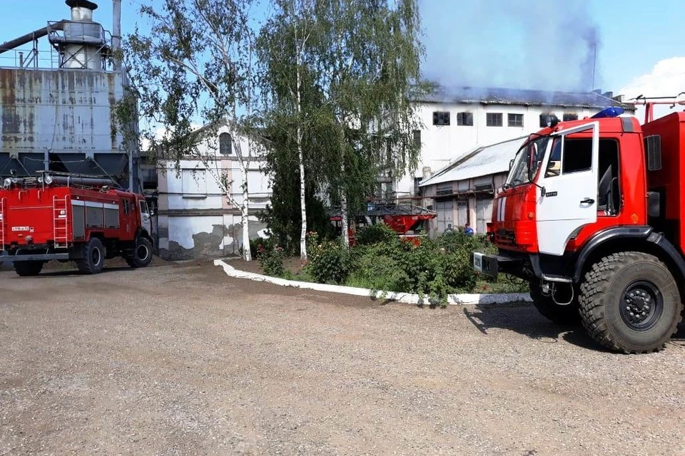 Фото: МЧС по СК