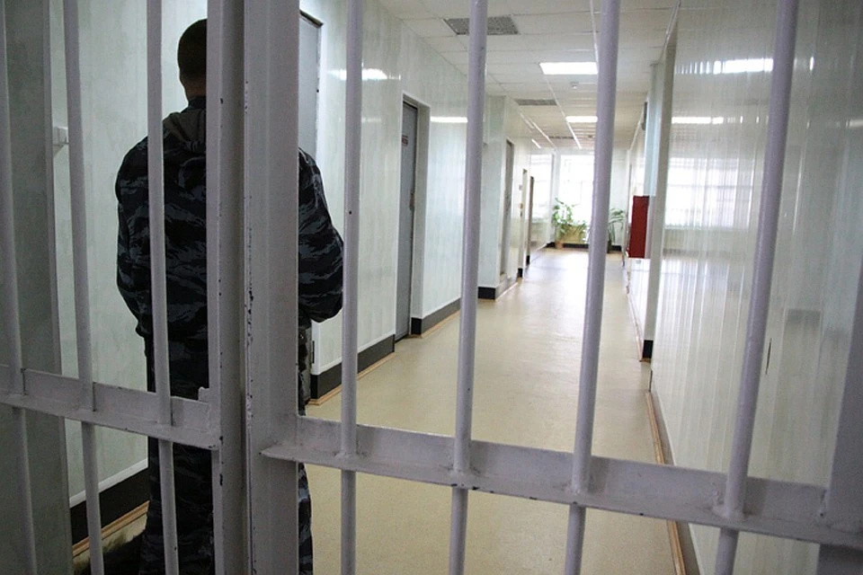 Иностранец около 2 лет проведет в колонии за въезд в Россию без разрешения .