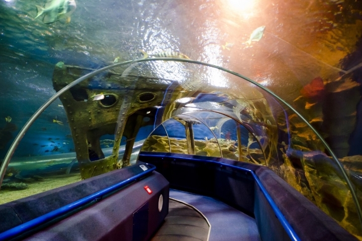 Океанариум Санкт-Петербурга объявил об открытии с 27 июля. Фото: vk.com/aquarium_spb