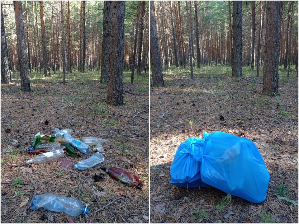 Фото: «Грибы и грибники Омской области»