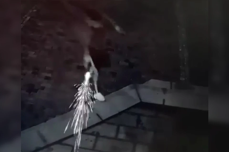 скриншот видео