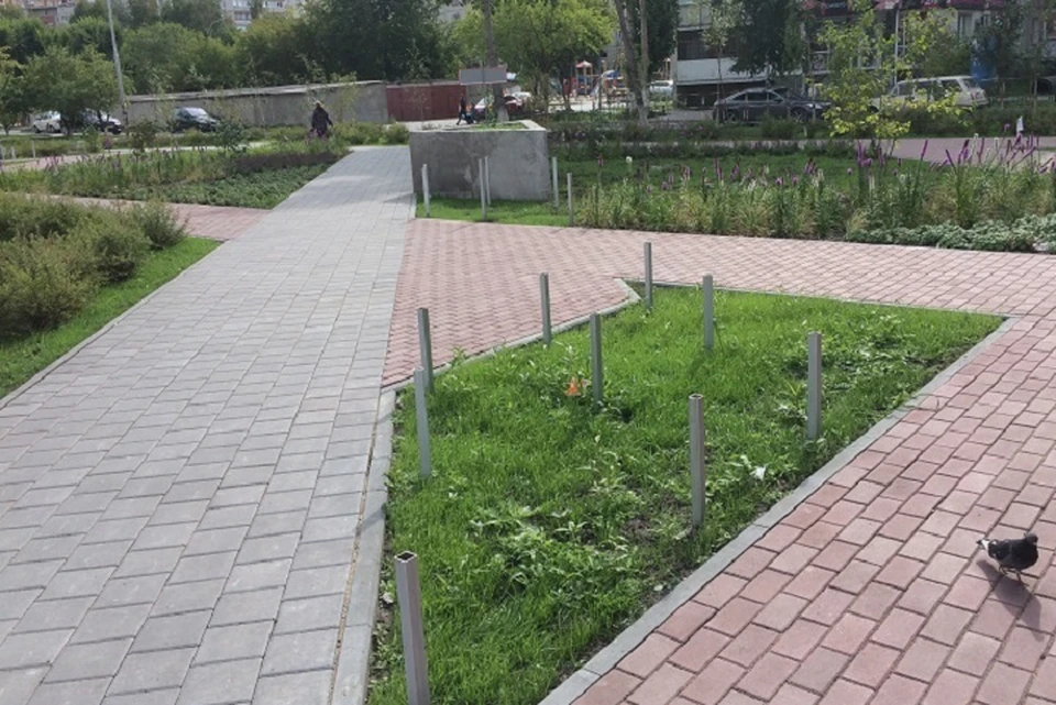 Фото со страницы "Тюмень - наш дом" в ВК