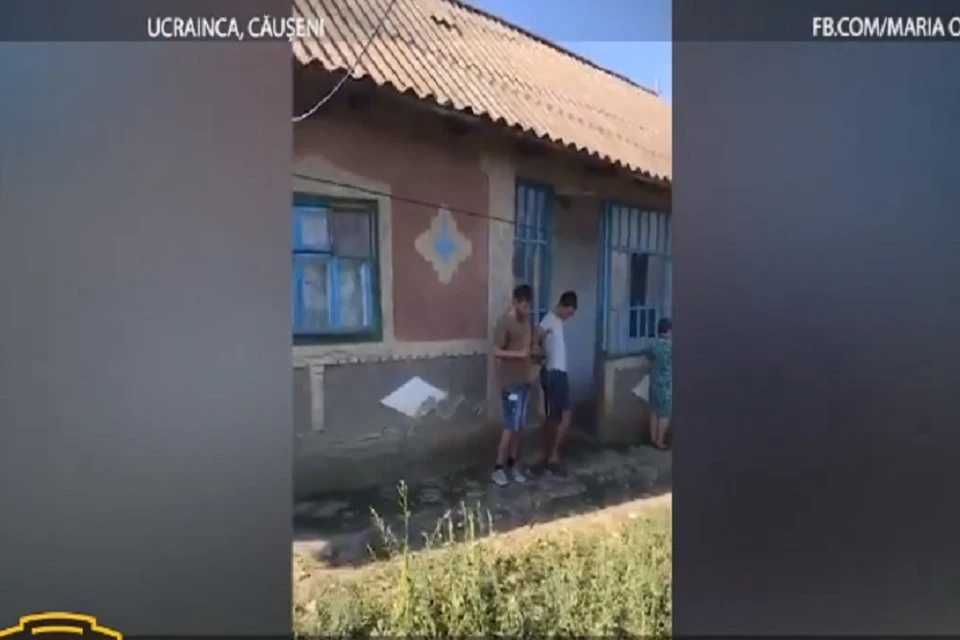 Подонки уже во всем сознались (Фото: скрин с видео).