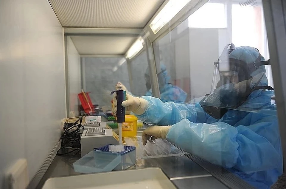 За все время коронавирус в ДНР был выявлен у 1751 жителя