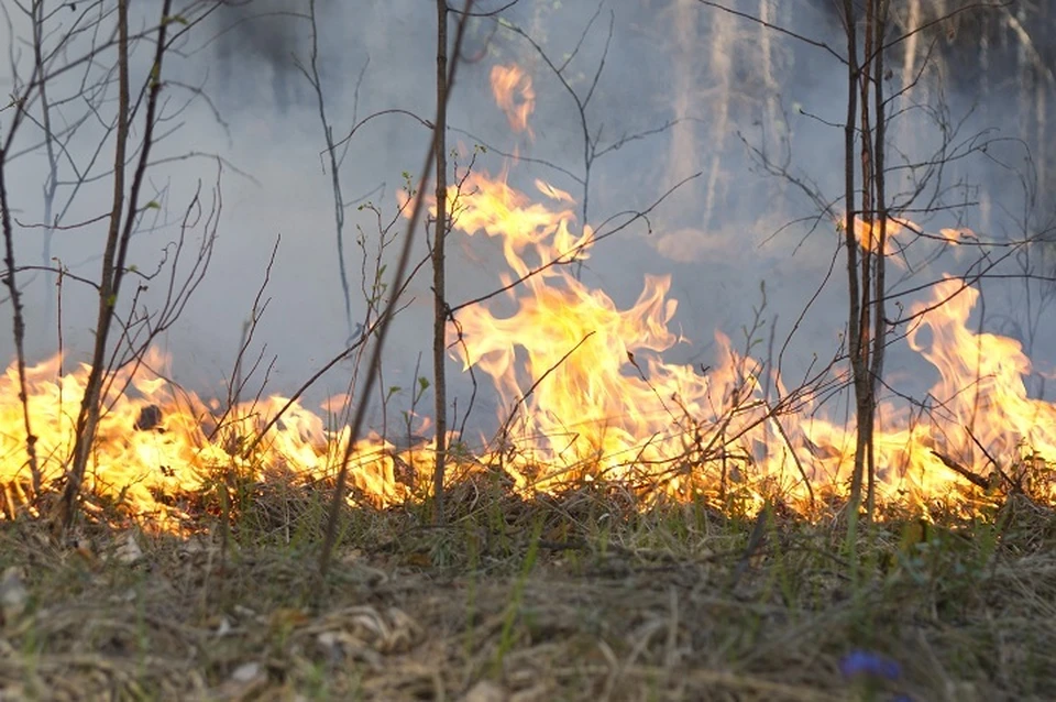 За сутки на Среднем Урале не выявили ни одного нового пожара