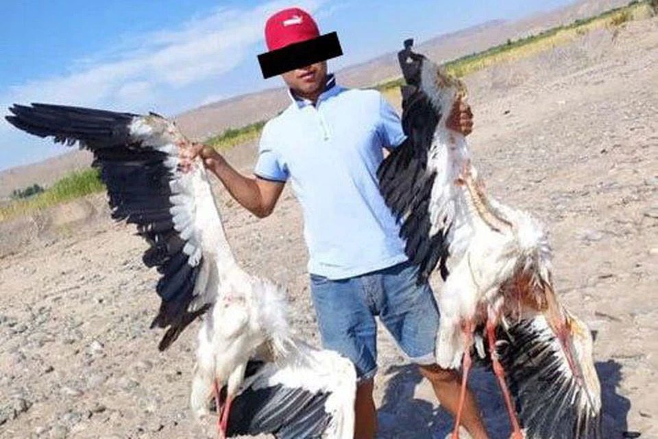 С мертвыми птицами сфотографировался брат браконьера.
