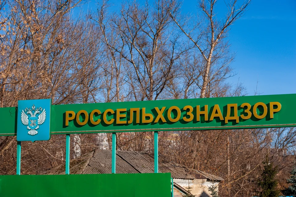 В Орловской области крестьянское хозяйство оштрафовали из-за зерна без декларации