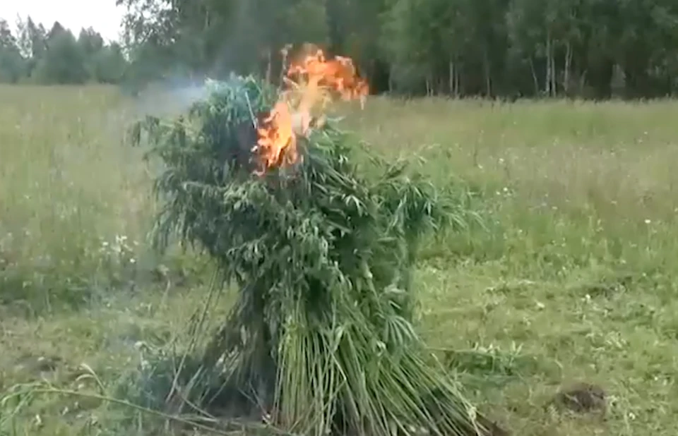 Фото: скриншот видео