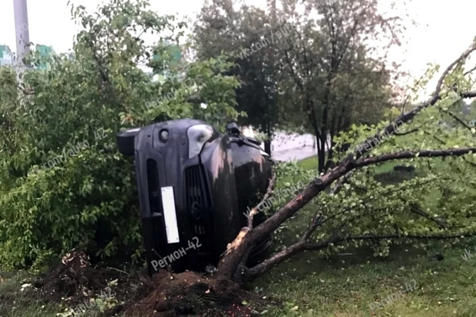 Автомобиль влетел в дерево в Кемерове. ФОТО: vk.com,"Регион 42"
