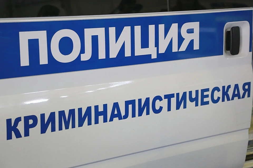В Красноярском крае при странных обстоятельствах погиб водитель лесовоза