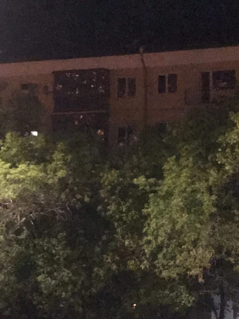 Автор поста предполагает, что именно из какой-то из этих квартир на Иртышской набережной 17 раздавались выстрелы.