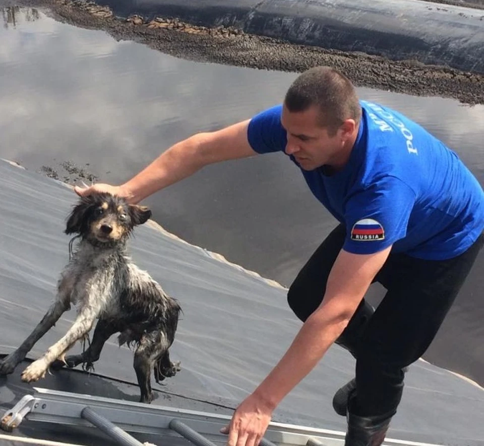 Фото пресс-службы ГУ МЧС России по Белгородской области.