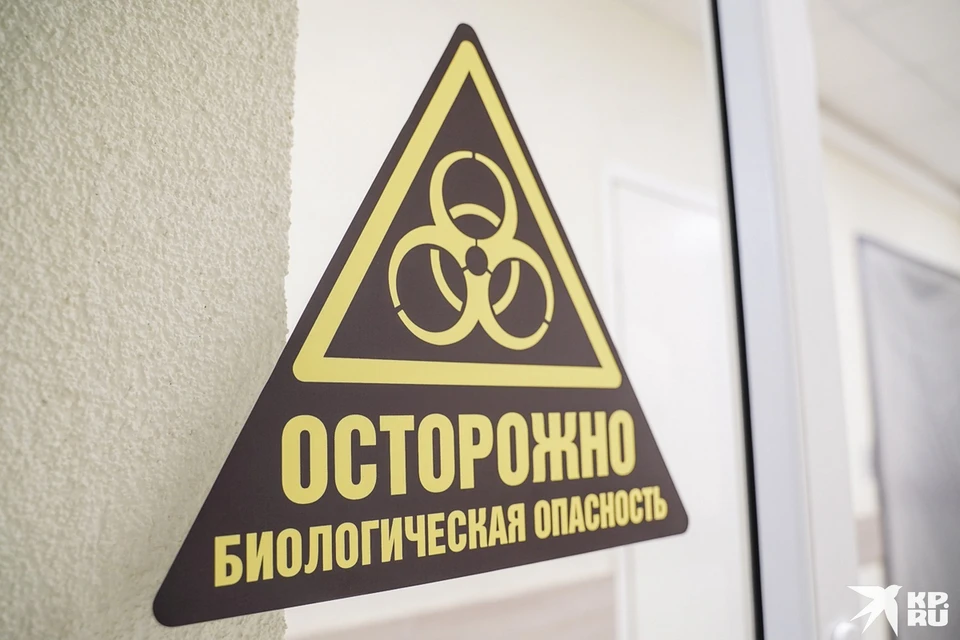 Ученые намерены изучить коронавирус и его влияние на разных людей
