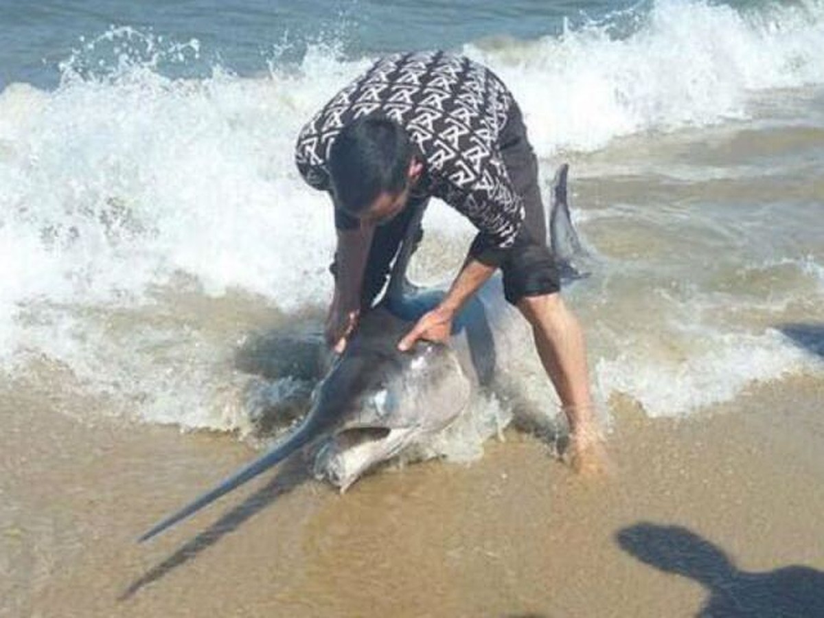 В Балтике зафиксировали «большой заток» соленой воды: что это значит и чем грозит