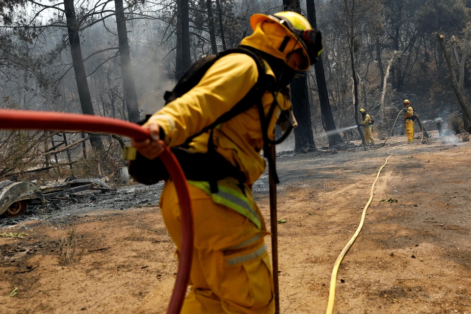 Пожарные не успевают тушить огонь, когда на местности до 20 очагов