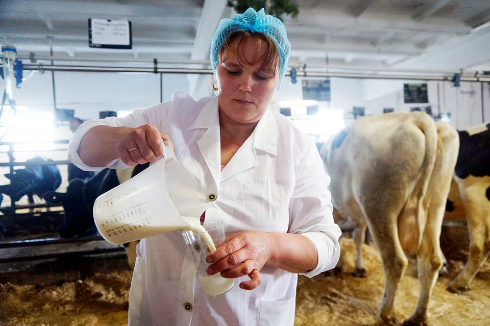 С января молочный рынок начнет становиться цивилизованным, а продукция более безопасной и качественной