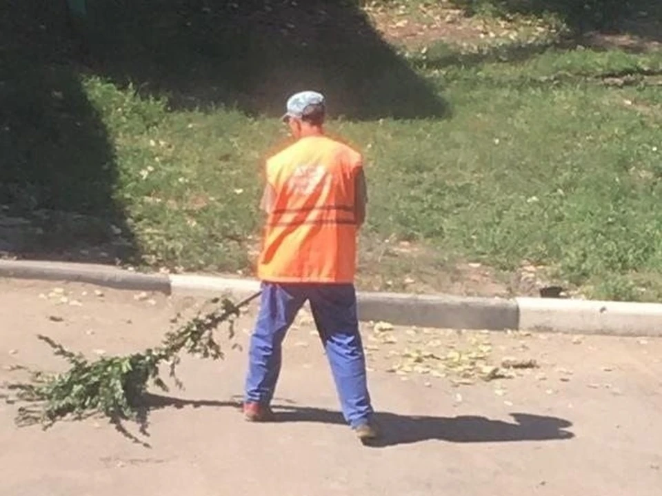 Дворник работает метлой из свежих веток. Фото из группы "Солнечный Саратов"
