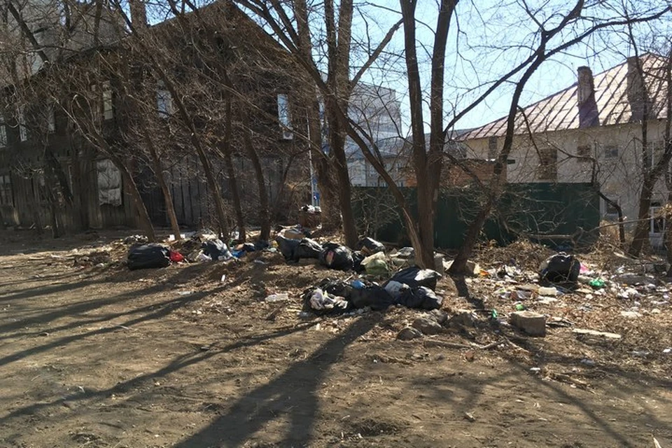 Нелегальным мусором в Хабаровске займется региональный оператор