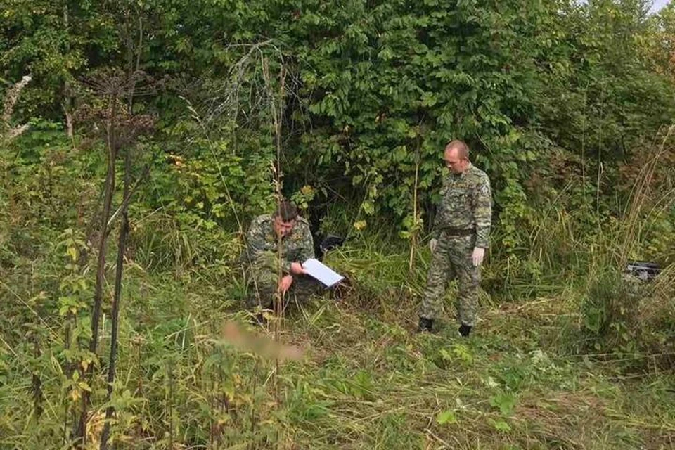 Тело убитой девочки было найдено в траве в 150 метрах от дома. Фото: пресс-служба СУ СКР по Пермскому краю.