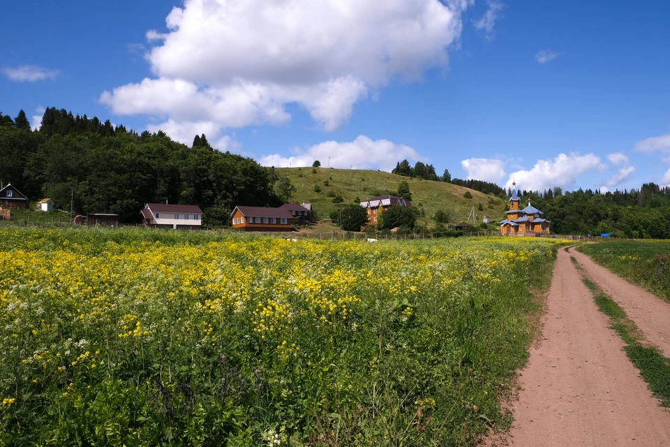 Фото: Алена Селезнева