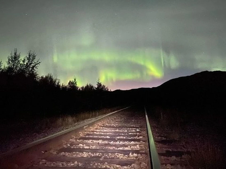Фото: arctic_lab_yamal, соцсеть "Instagram"