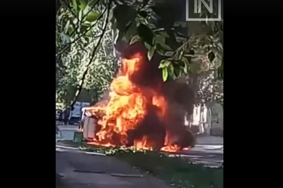 Фото: скриншот с видео
