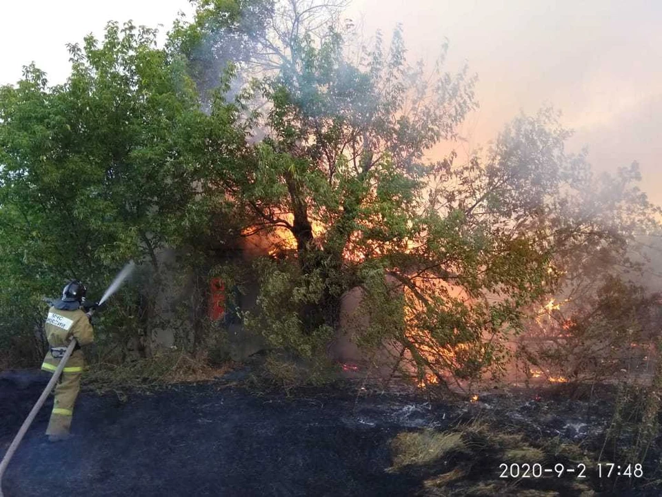 Пожар охватил сразу несколько районов Ростовской области. Фото: пресс-служба донского МЧС