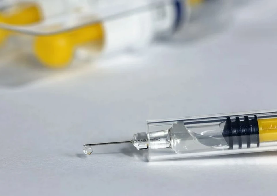 В тобольской больнице целый месяц не было вакцины для профилактики бешенства. Фото - pixabay.com.