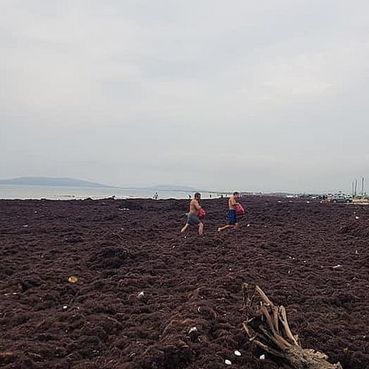 Красивый песчаный пляж перестал существовать в Приморье после удара стихии  - KP.RU