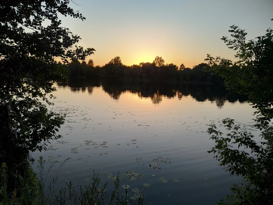 На момент выезда в этом районе мора рыбы зафиксировано не было