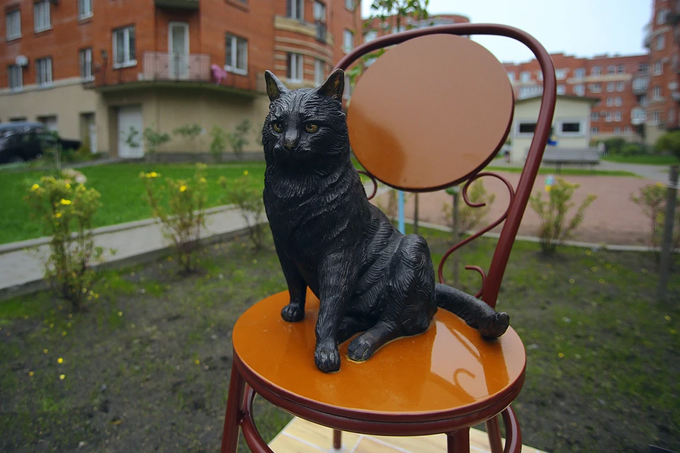 Ученые опровергли легенду о том, что в блокадный Ленинград привезли эшелон кошек.