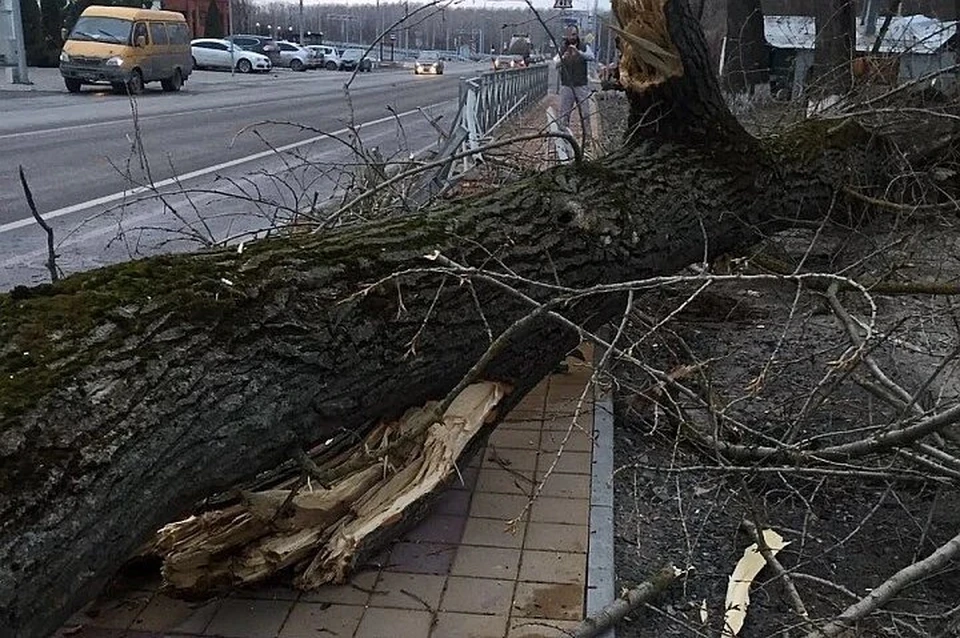 В Белгородской области спасатели боролись с последствиями непогоды.