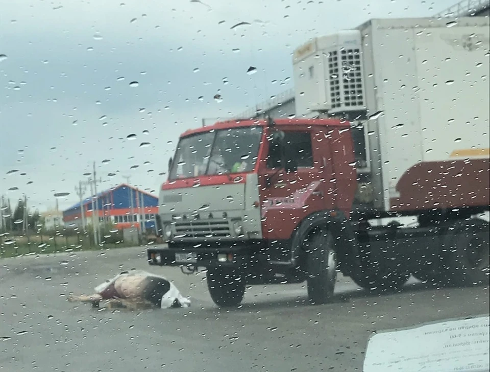 В Туле за рулем грузовика умер мужчина