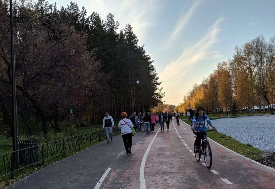В Тюмени количество велопарковок увеличится до 400.